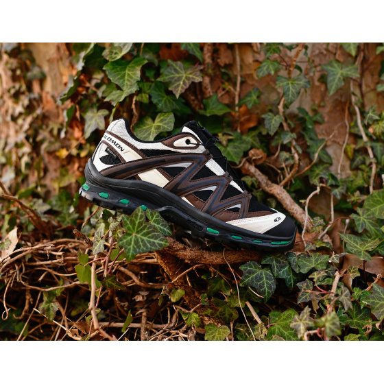 Salomon XT-Quest Gore-Tex Black Delicioso