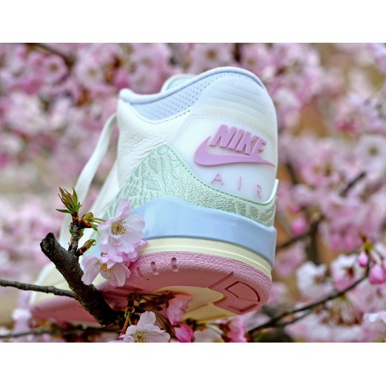 Jordan Air Jordan 3 Retro OG Spring Is In The Air