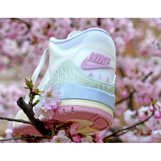 Jordan Air Jordan 3 Retro OG Spring Is In The Air