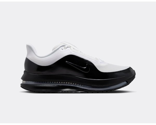 Nike Pegasus Premium SP QS White Black