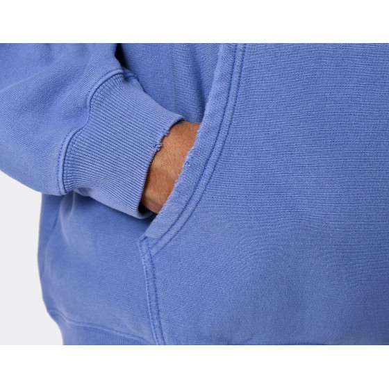 Champion Reverse Weave Archive Hoodie Homaha
